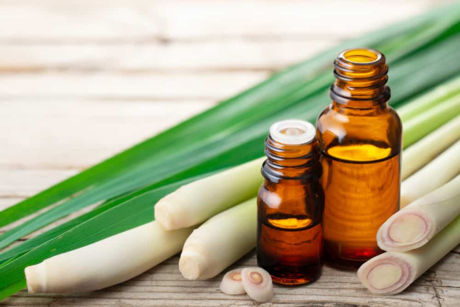 Củ sả có tác dụng gì đối với sức khỏe ?