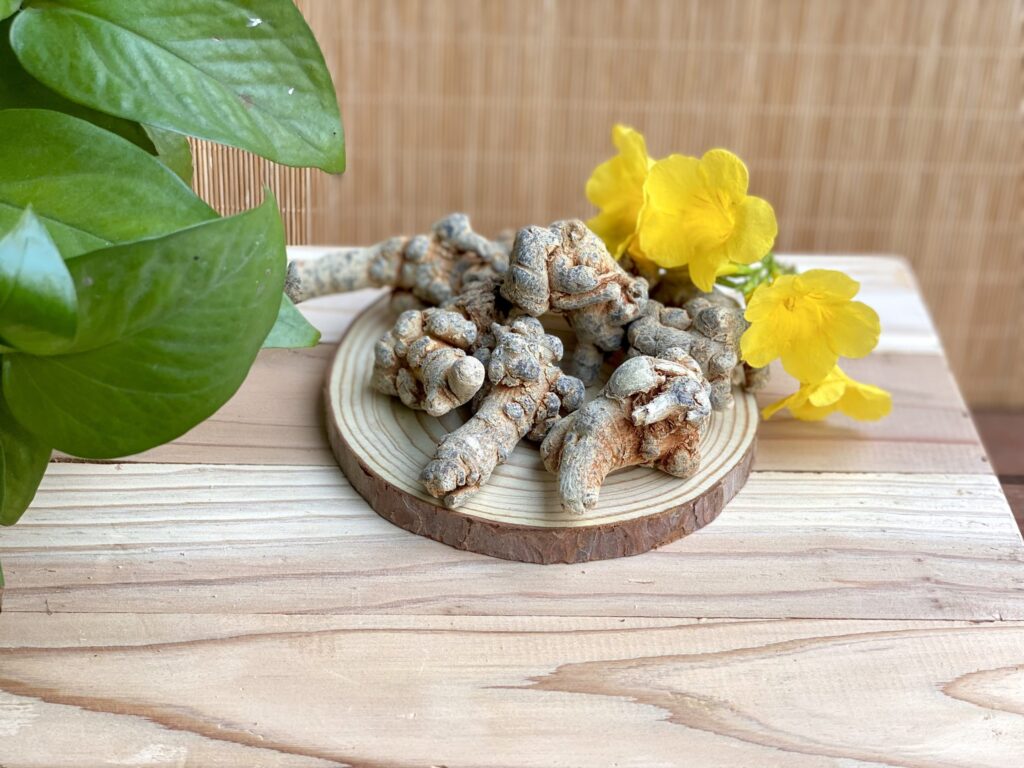 Tam thất là gì? Tam thất uống như thế nào, uống vào lúc nào?