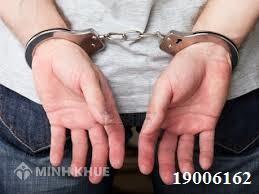 Tội mua bán, tàng trữ trái phép chất ma túy?