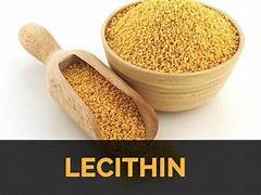 Lợi ích của Lecithin đối với sức khỏe