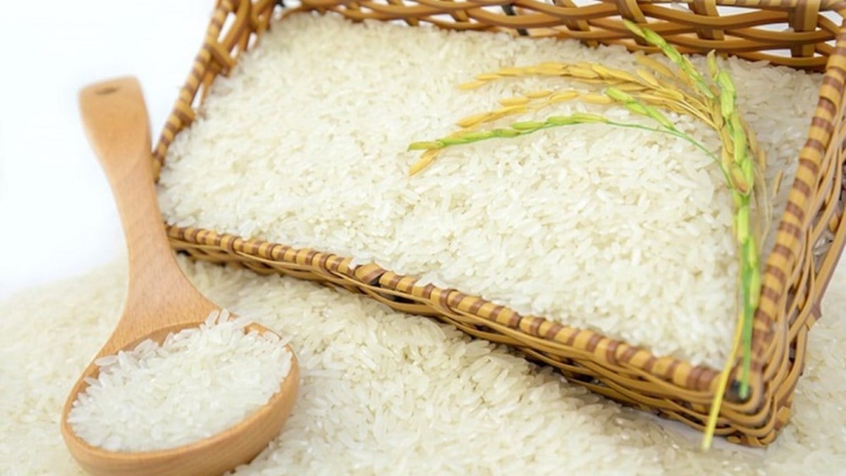 Tổng hợp các loại gạo khác nhau ở Việt Nam và cách sử dụng phù hợp