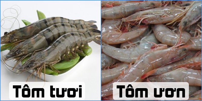 Hướng dẫn cách chọn tôm và cách bảo quản tôm tươi trong tủ lạnh được lâu nhất