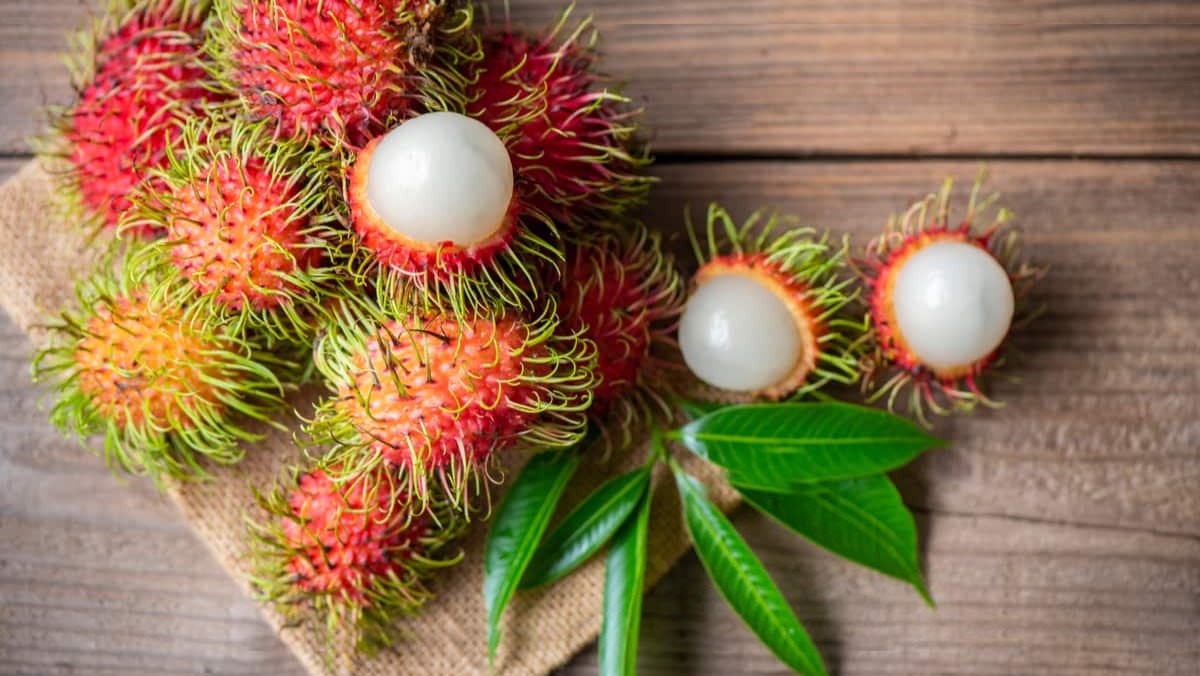 Giá trị dinh dưỡng của quả chôm chôm như thế nào?
