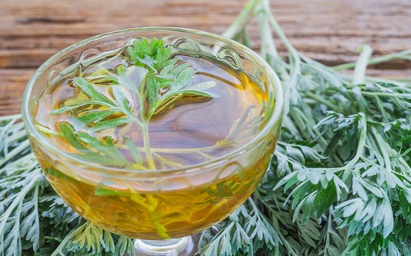 Trà ngải cứu có tác dụng gì đối với sức khỏe?