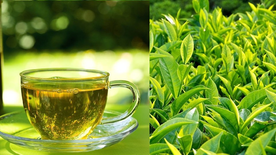 Tác hại của việc làm dụng trà và lý do khiến bạn không nên uống quá nhiều