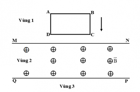 Trắc nghiệm Sinh 11 Bài 34 : Sinh trưởng ở thực vật