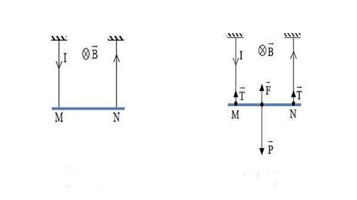 Lực từ là gì? Vectơ cảm ứng từ, quy tắc bàn tay trái