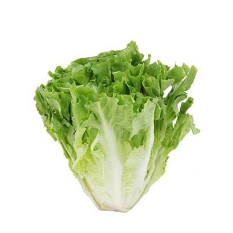Ăn rau xà lách có tốt cho sức khỏe không?