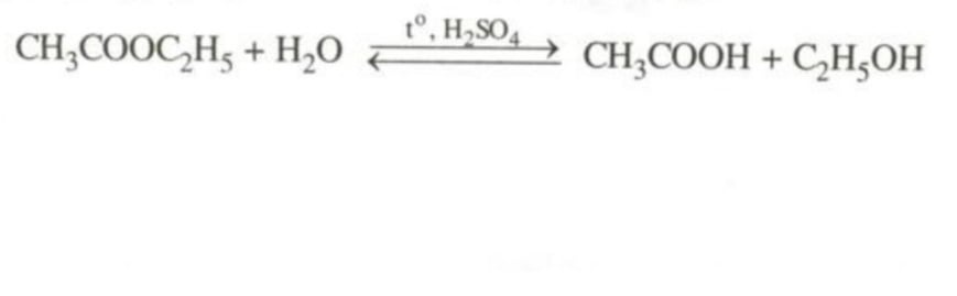 Este là gì? Công thức cấu tạo, tính chất hóa học và bài tập về este?