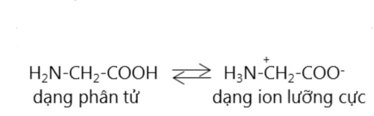 Amino axit là gì? Công thức hóa học của các amino axit thường gặp và bài tập