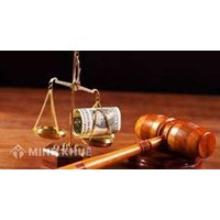 Bộ Tư pháp tuýt còi vụ truy thu thuế xe tải van