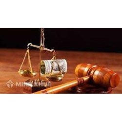 Bộ Tư pháp tuýt còi vụ truy thu thuế xe tải van