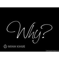 Vì sao bãi phế liệu Dũng Lạc ngang nhiên hoạt động trái phép?