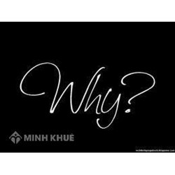 Vì sao bãi phế liệu Dũng Lạc ngang nhiên hoạt động trái phép?