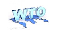 FDI trong điều kiện Việt Nam gia nhập WTO ? Nội dung Việt Nam cam kết khi gia nhập WTO ?