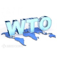 FDI trong điều kiện Việt Nam gia nhập WTO ? Nội dung Việt Nam cam kết khi gia nhập WTO ?