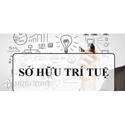Phân tích về xâm phạm và tranh chấp về quyền sở hữu trí tuệ ở Việt Nam