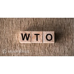 Bài học về thương mại và môi trường nhìn từ một vụ kiện trong WTO
