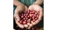 Vài nhận xét và suy nghĩ về công bằng trong mậu dịch (fair trade)