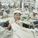 Chính sách cho lao động nữ - Có luật cũng như không