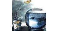 Một số so sánh về công ty cổ phần theo luật công ty Nhật Bản và luật doanh nghiệp Việt Nam