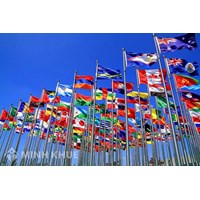 Tổng quan về tổ chức thương mại thế giới (WTO) và Các yêu cầu đối với chính sách kinh tế gia nhập WTO