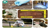 Thu thập chứng cứ trong tố tụng dân sự còn nhiều gian nan