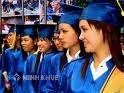 Đại học đi về đâu?