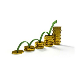 Tăng vốn điều lệ của công ty TNHH một thành viên như thế nào?
