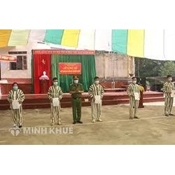 Thời hiệu thi hành bản án hình sự là bao lâu?