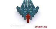 Cơ cấu tổ chức công ty - Nguyễn Thùy Trang