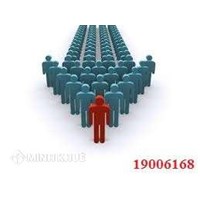 Cơ cấu tổ chức công ty - Nguyễn Thùy Trang