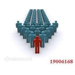 Cơ cấu tổ chức công ty - Nguyễn Thùy Trang