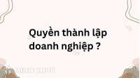 Quyền thành lập doanh nghiệp theo quy định mới nhất?