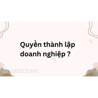 Quyền thành lập doanh nghiệp theo quy định mới nhất?