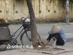 Thị trường lao động là gì? Sự hình thành, phát triển thị trường lao động ở Việt Nam