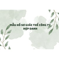 Mẫu hồ sơ giải thể công ty hợp danh