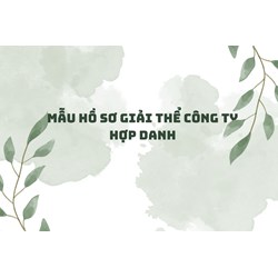 Mẫu hồ sơ giải thể công ty hợp danh