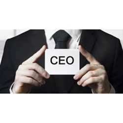 Quyền và nghĩa vụ của Giám đốc, Tổng giám đốc ông ty TNHH 2 thành viên