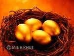 Tư vấn lựa chọn loại hình doanh nghiệp