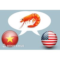 Quy định của pháp luật hiện hành về vấn đề chống bán phá giá ?