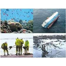 Môi trường với quyền con người và vận dụng quyền con người trong bảo vệ môi trường ở Việt Nam