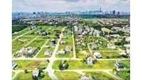 Mẫu biên bản hòa giải tranh chấp đất đai mới nhất và cách viết chi tiết