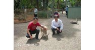 Chủ tịch nước mặc áo nông dân cày ruộng