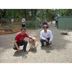 Chủ tịch nước mặc áo nông dân cày ruộng