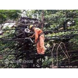 Khi chiếc cột điện mang dây dẫn kinh tế thị trường