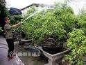Bảo hiểm xã hội - Chế độ hưu trí đối với người tham gia BHXH tự nguyện