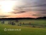New dawn