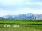 Chuyển nhượng quyền sử dụng đất nông nghiệp chưa có giấy chứng nhận quyền sử dụng đất?