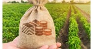Xác định hạn mức đất ở tính thuế theo quy định mới nhất